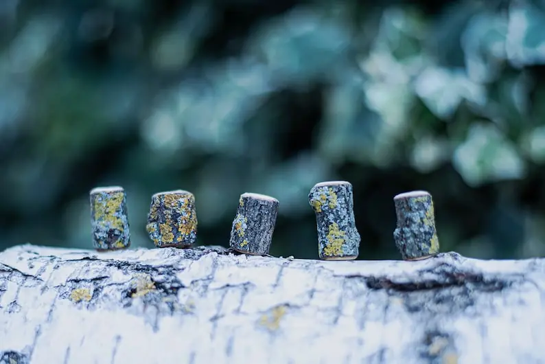 Handmade Dreadlock beads natural Wood beads with MOSS Pure lock beads Dreadlock jewellery Dreadlock tools Engaging beads Unikatina